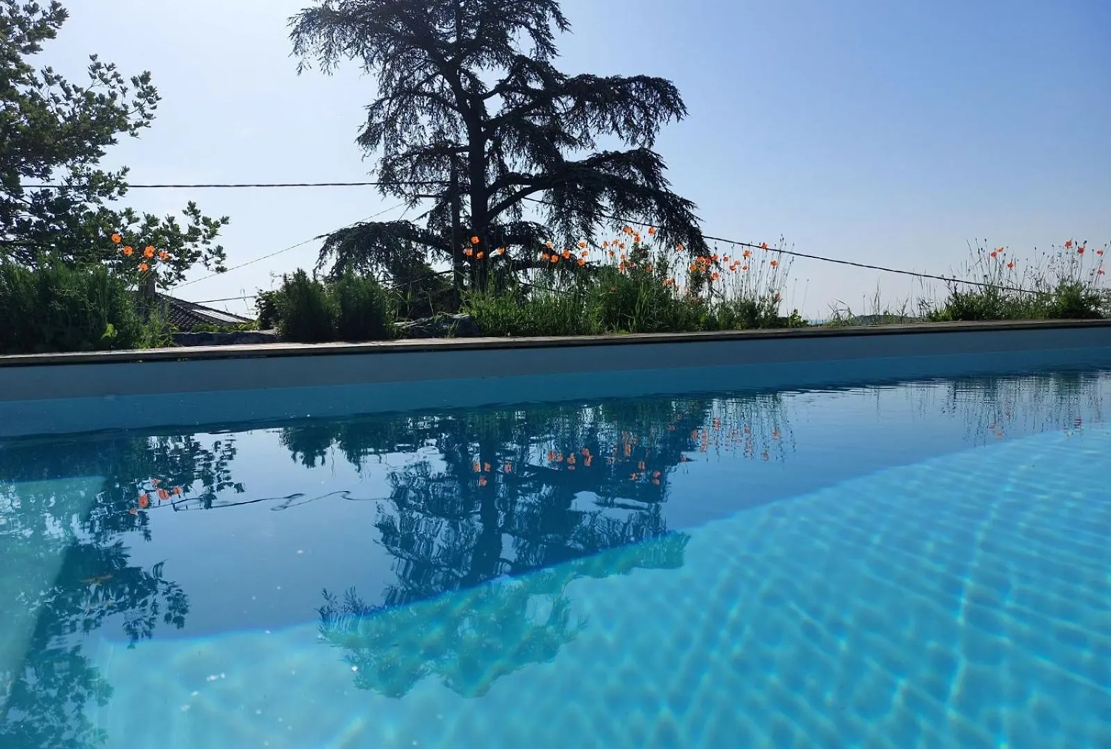 Gite Le Chene Du Py Villie-Morgon Country house