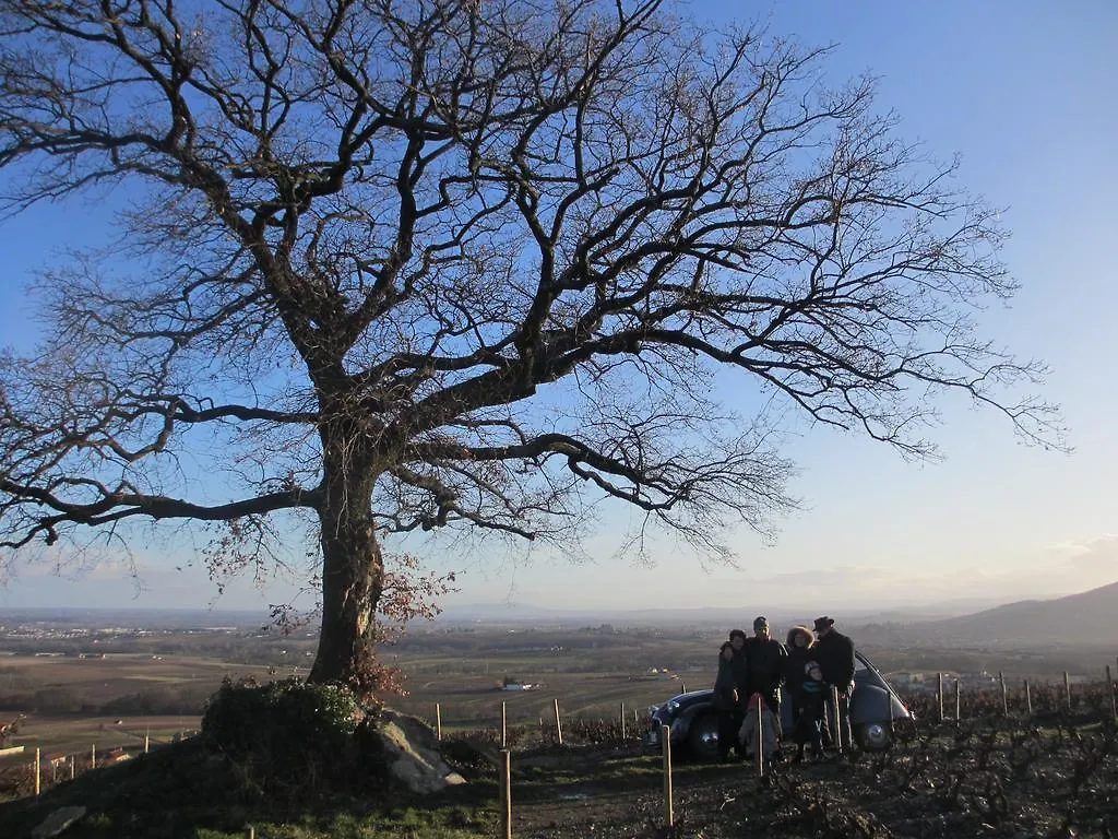 Gite Le Chene Du Py Villie-Morgon France